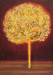 Bloeiende Boom, 1997 door Peter Davidson